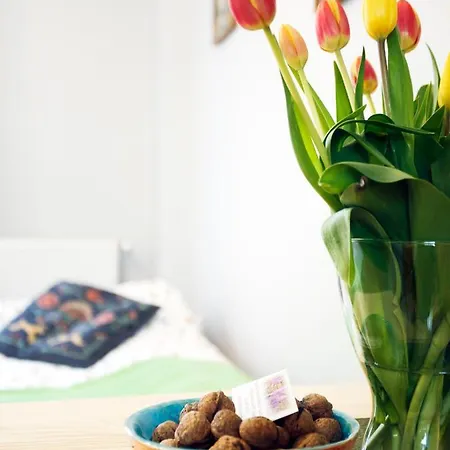 U Karolinki Ubytování v soukromí Zakopane