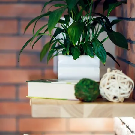 U Karolinki Zakopane