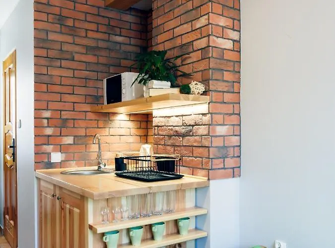 U Karolinki 民宿 扎科帕内