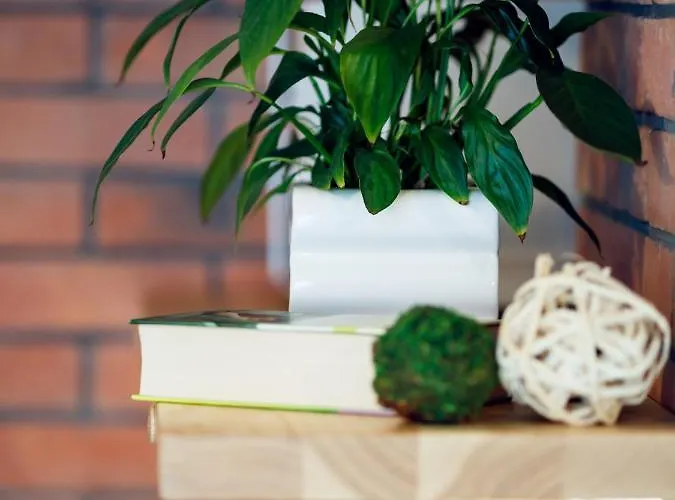 U Karolinki 扎科帕内