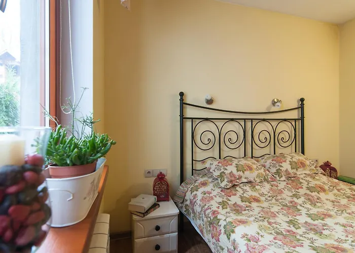 U Karolinki * 扎科帕内